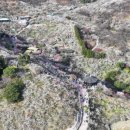 매화강산 이미지