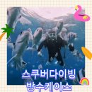 찰칵찰칵 스마트폰 사진반 | 갤럭시방수케이스 하푼케이스와 함께 스쿠버다이빙