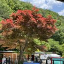 필하우스펜션 이미지