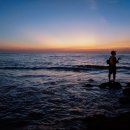 진포인트 이미지