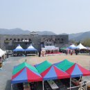 월산초등학교 운동장 이미지