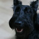 수원-0401 이미지