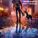코코룸