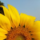 김경숙농장 이미지