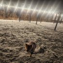 레이지507B 이미지