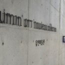 제주 246 이미지