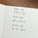 양천돈까스 이미지