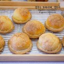 BB하우스 이미지