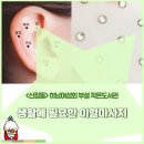 이혈(귀) 상담과 건강관리 이미지