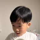 로기네 Daum카페