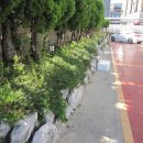 나무늘보호텔 이미지