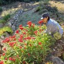 율지리 마을회관 이미지