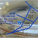 좌동순환로 402번길 10 Daum카페