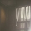 리배 | 필름카메라 현상스캔 후기_홍대 스코피(무인 접수도 가능)