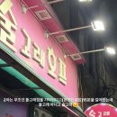 돌고래호프 네이버블로그