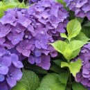 외양포공영주차장 이미지