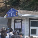 꽃보다당구장 | 대전 근교 아이, 가족과 함께 가기 좋은 곳 청주 청남대 방문 후기 및 총정리