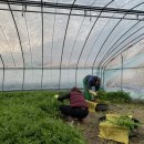 한재농장 이미지