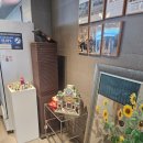 영도 바닷가 이야기 | 부산 영도 맛집 빨간등대/블루리본 3개 영도 회 코스 1인 5만원 솔직 후기