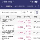 황금씨앗