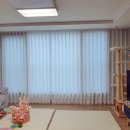 진영냥이 이미지