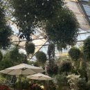 동물왕국 | 오사카 고베여행 2일차 - 아이와 가기 좋은 고베 동물왕국 애니멀킹덤