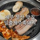 일출제주흑돼지 | 제주 성산 도민 가성비 찐맛집 [일출제주흑돼지] 내돈내산 후기
