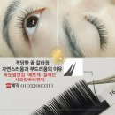 시크릿바비