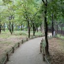 동변공원 이미지