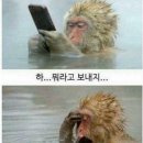 싱글로 가는집 이미지