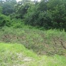 쟁골농장 이미지