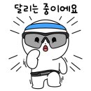 제 22회 새벽강변마라톤 10km 대회 참가 후기, 주로 사진 찾는 법