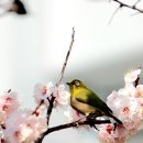 김해고등학교 이미지