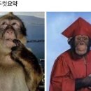 한국방송통신대학교 이미지