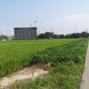 가교1리마을회관 이미지