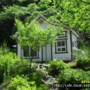 숲속원룸 이미지