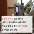 포유문산후조리원 이미지