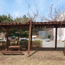 혜전놀이터 이미지