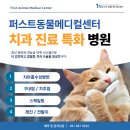 아이퍼스트치과병원 이미지