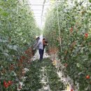 세종시교통장애인협회 이미지