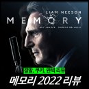 한성당건재약업사 | [영화 리뷰] 메모리 (리암니슨 줄거리 결말 관람평) - OTT 최신 추천