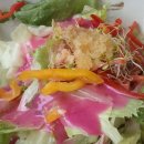 다솜차반 이미지