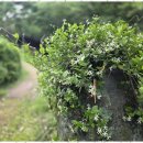 나를 찾아 떠나는 심리여행 이미지