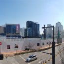 광교중앙약국 이미지