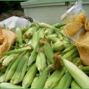 황골농장 이미지