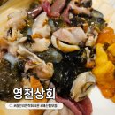 부산 광안리 민락회타운 모듬해산물 포장 28번 영천상회 후기
