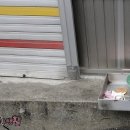 할머니핫도그집