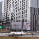 용인대서재태권도장 네이버블로그