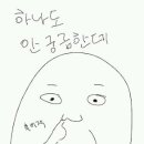 제피렐리