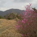 자은초등학교 이미지